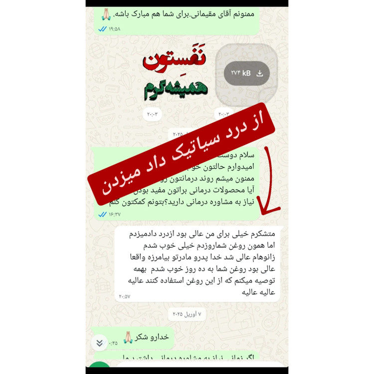 روغن ضد درد سنیز بهاری برای درمان کمردرد پادرد دیسک سیاتیک زانودرد حجم 125 میل